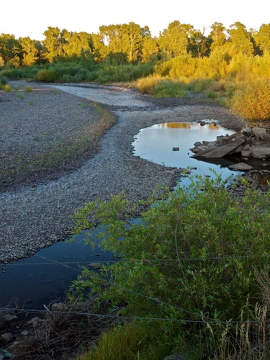 <p>The roughness of the bed and banks and how this impedes the water flow.</p>
