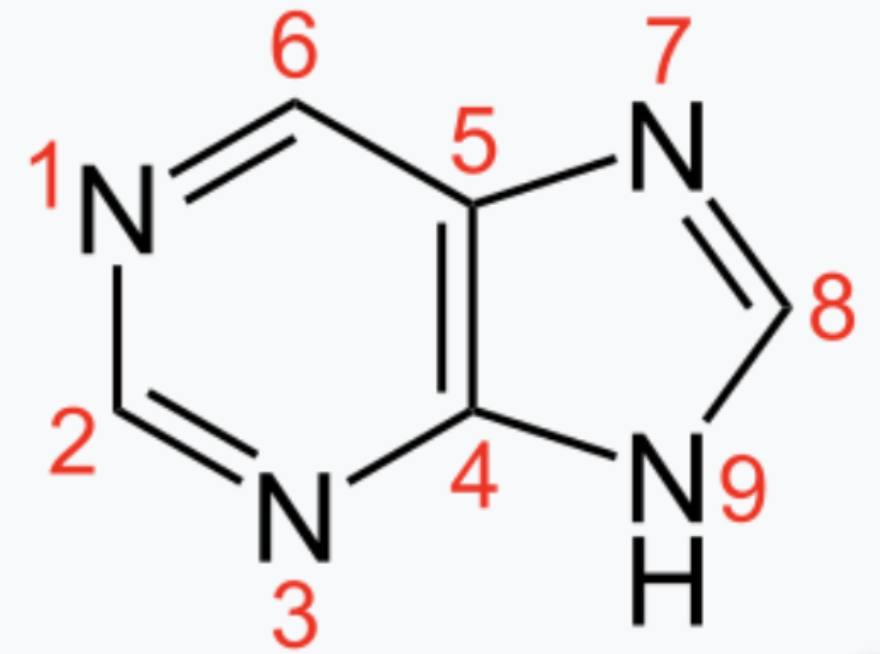 <p>which purine substrate donates carbons 2 and 8?</p>