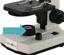 <p>What is the part of the microscope? What is its function?</p>