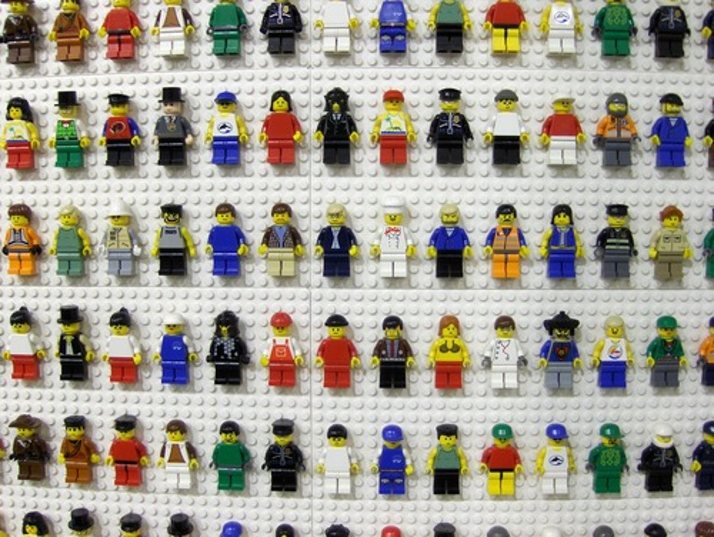 <p>the people</p>