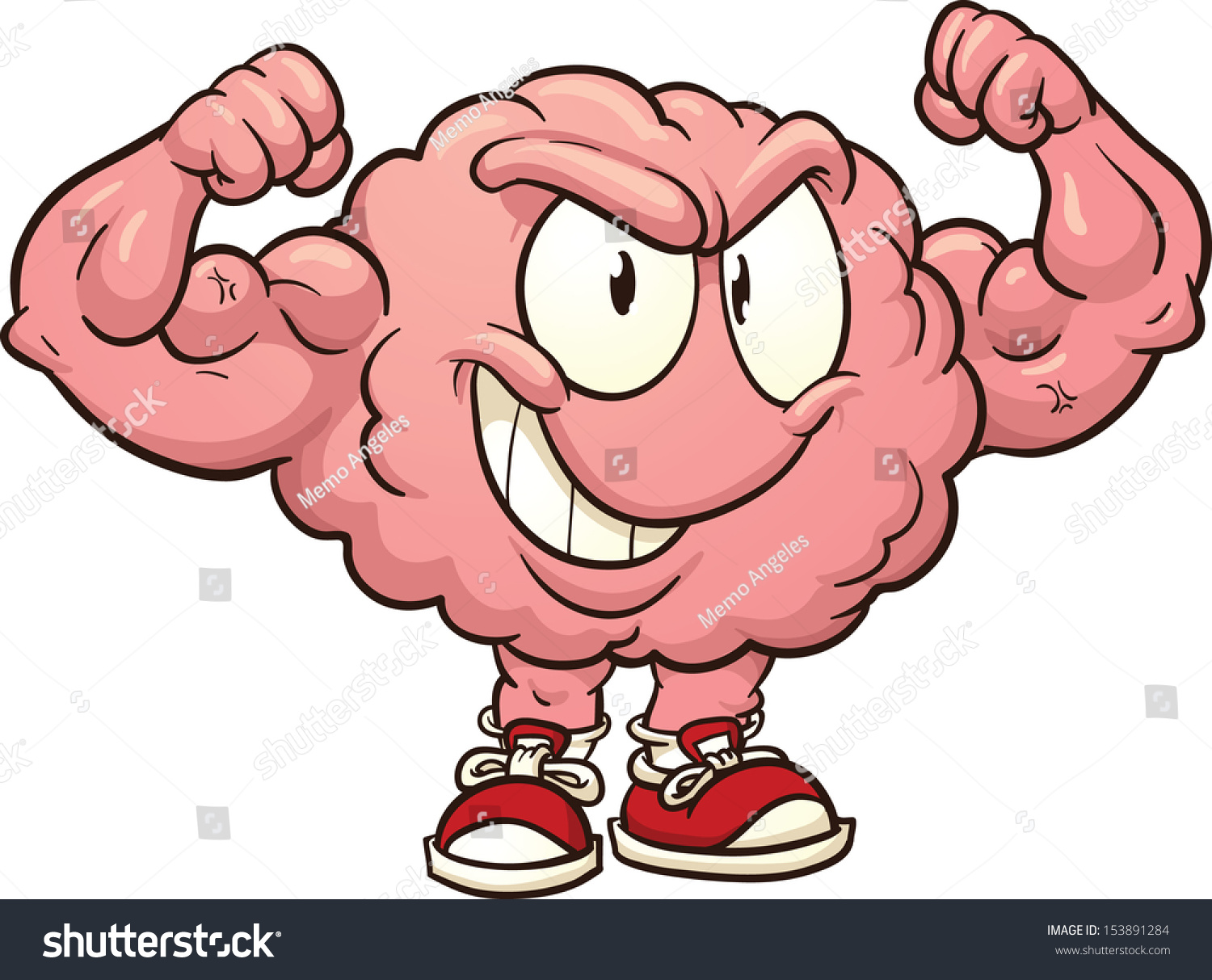 <p>brain’s ability to reorganize after damage or experience (plastic = flexible brain)</p>