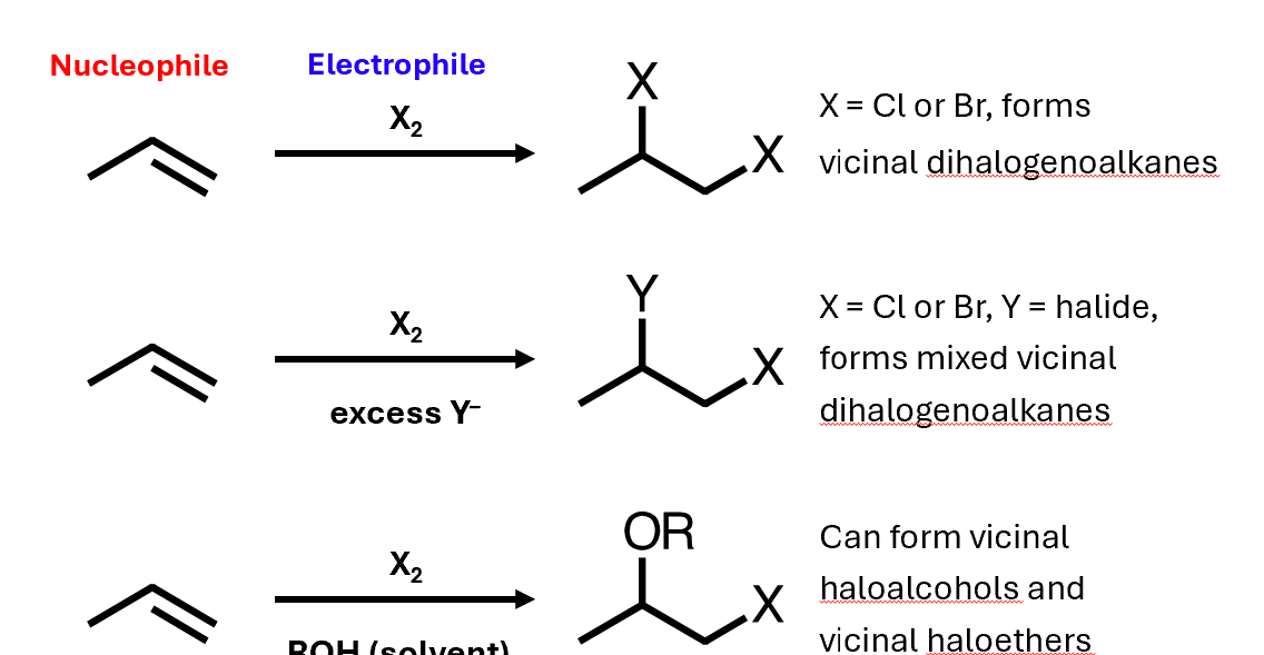 <p>Alkenes can act as nucleophiles, and halogens can add to them</p>