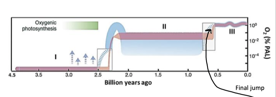 <p>1-500 Ga earth went through period of intense climate upheavals marked by episodes of “Snowball Earth” </p>