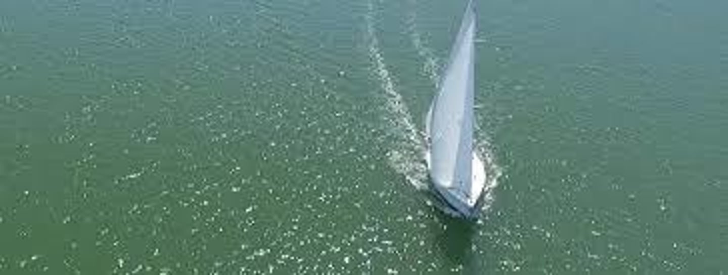 <p>naviguer (to sail)</p>