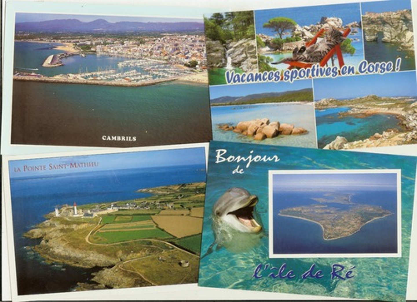 <p>postcard</p>