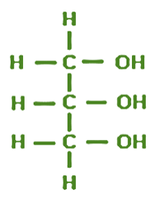 Basic Lipid structure 