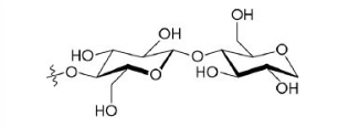 <p>The image below shows a(n) __________ glycosidic bond.<br>a) a-1,4-<br>b) B-1,4-<br>c) a-1,6-<br>d) B-1,6-</p>