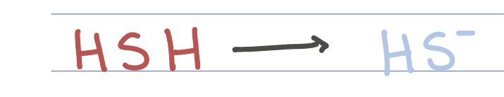 <p>Hydrogen Sulfide</p>