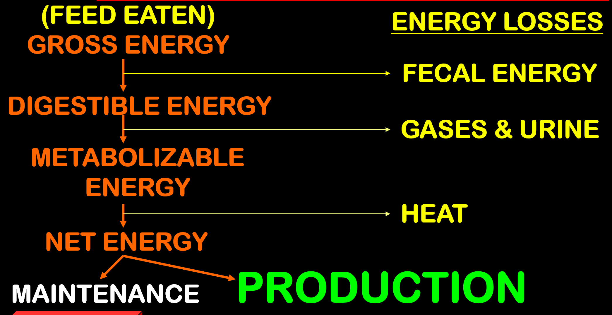 <ul><li><p>Need to memorize this chart!</p></li></ul><p></p>