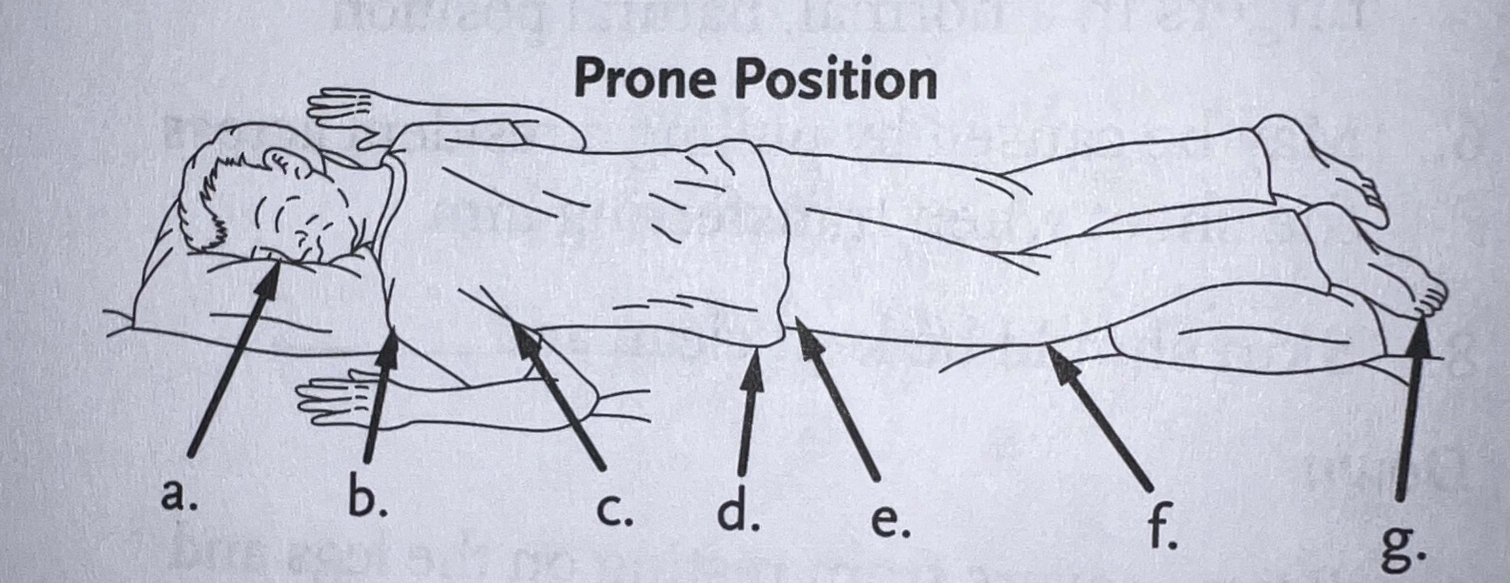 <p>E.</p>
