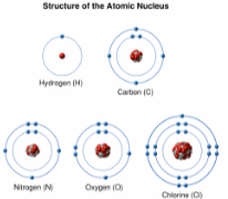 <p>Atomic mass</p>