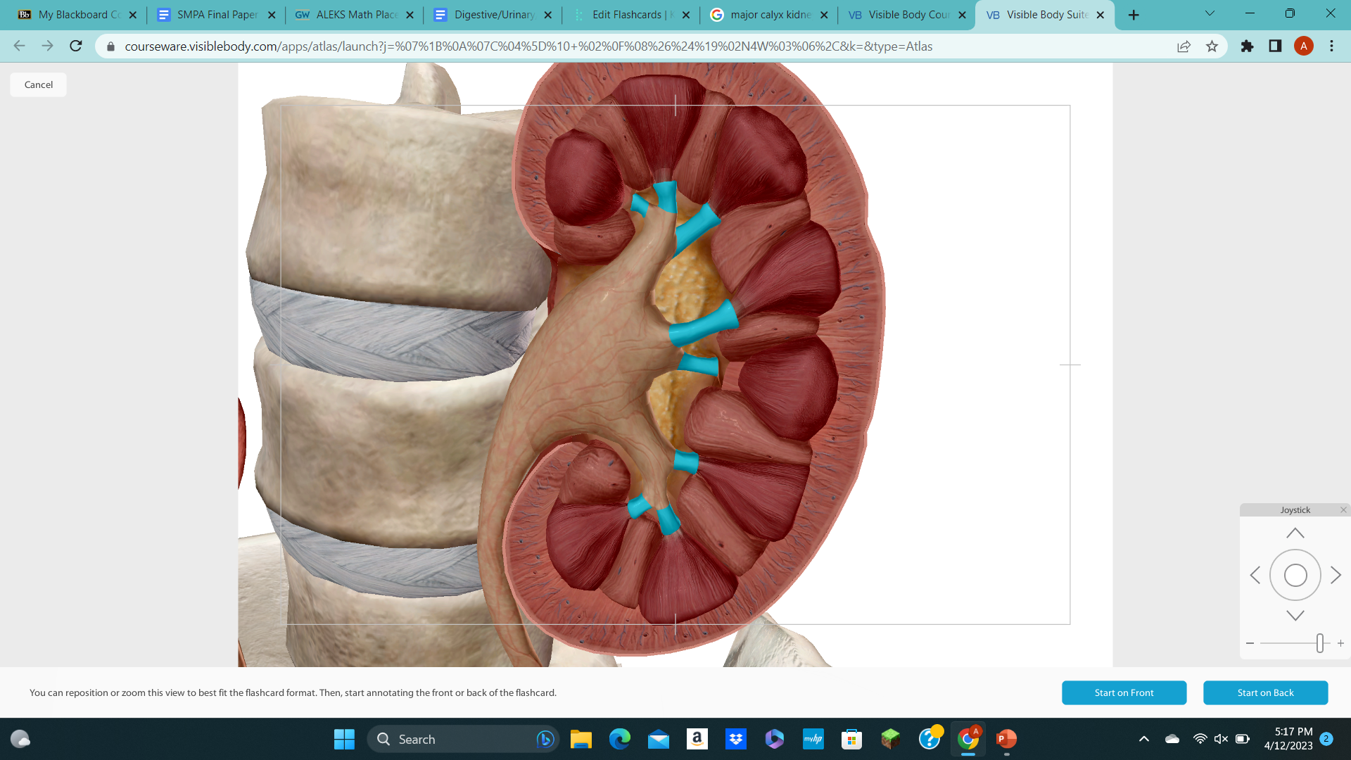 knowt flashcard image
