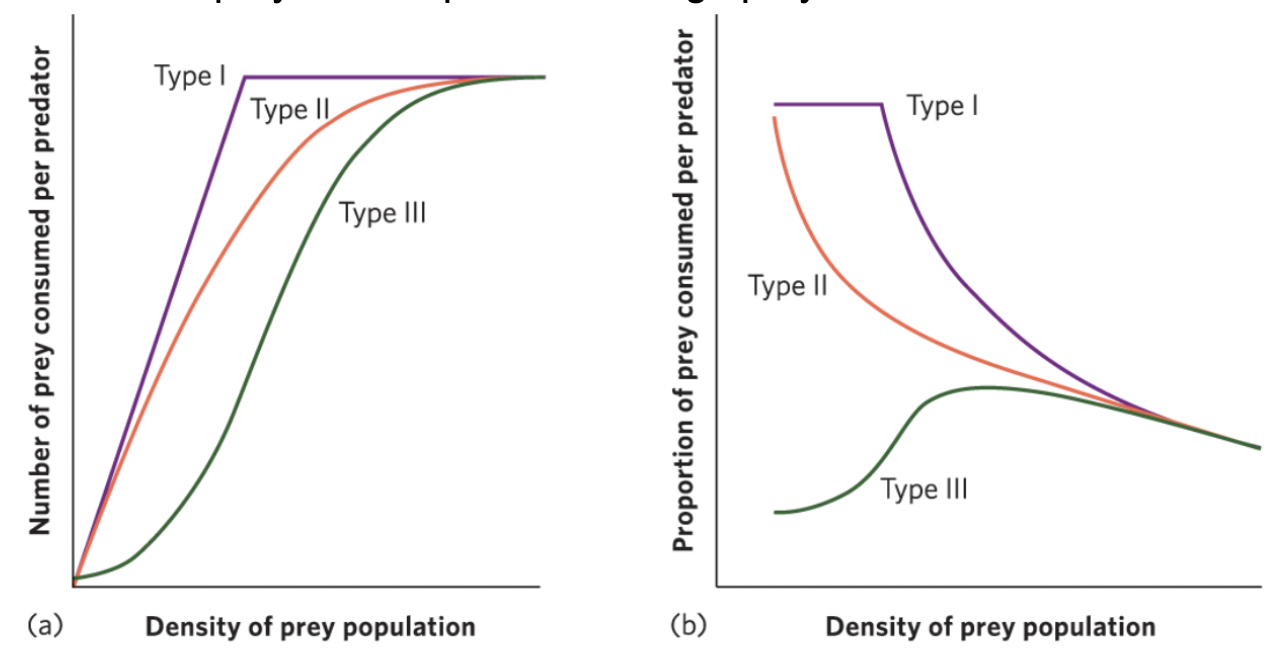 <p><span style="background-color: transparent;"><span>Predator’s rate of prey consumption begins to slow down as prey density increases and then plateaus when satiation occurs</span></span></p>