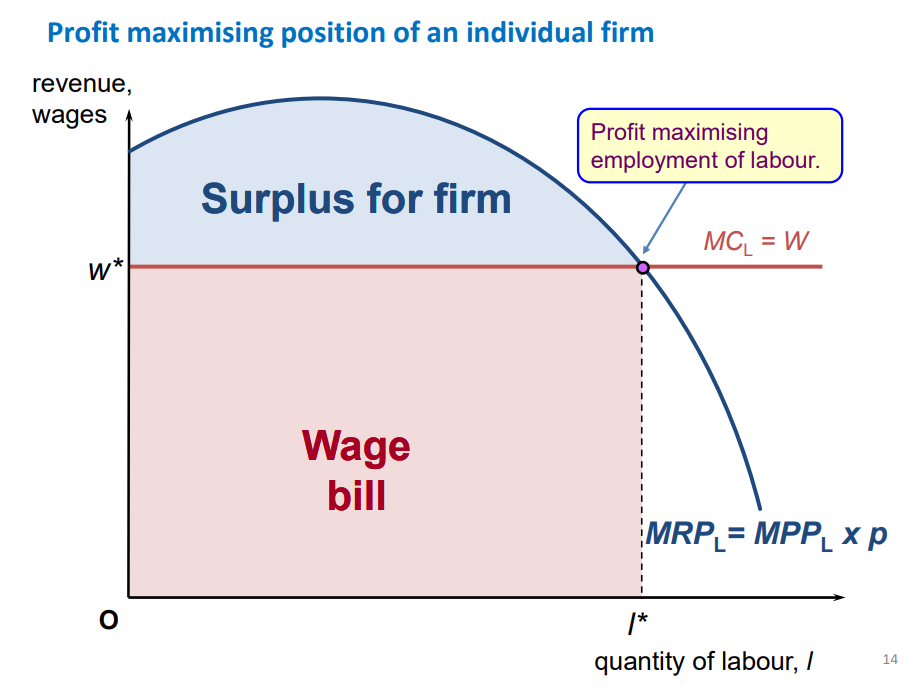 <p>where MRPL and MCL intersect, with MCL/ wage rate being constant as firm is a wage taker </p>