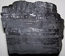 <p>Black in color, lightweight, with visible strata lines. It is a biochemical rock.</p>