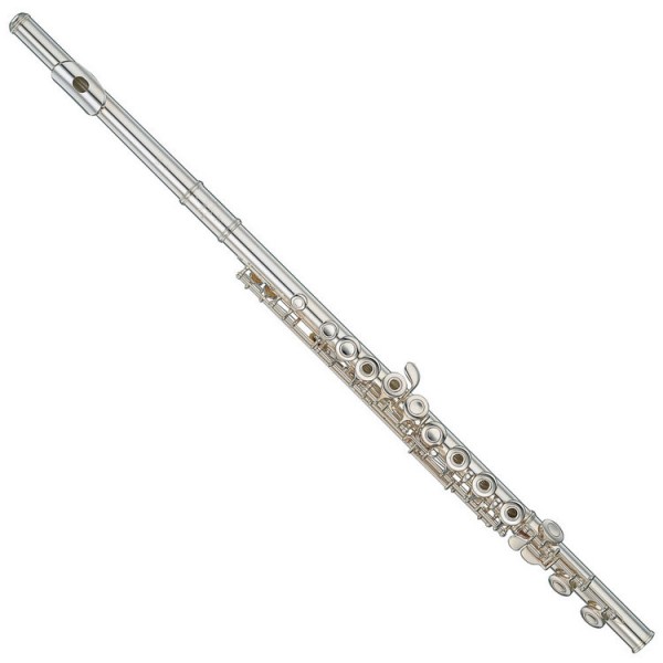 <p>A high-pitched wind instrument.</p>