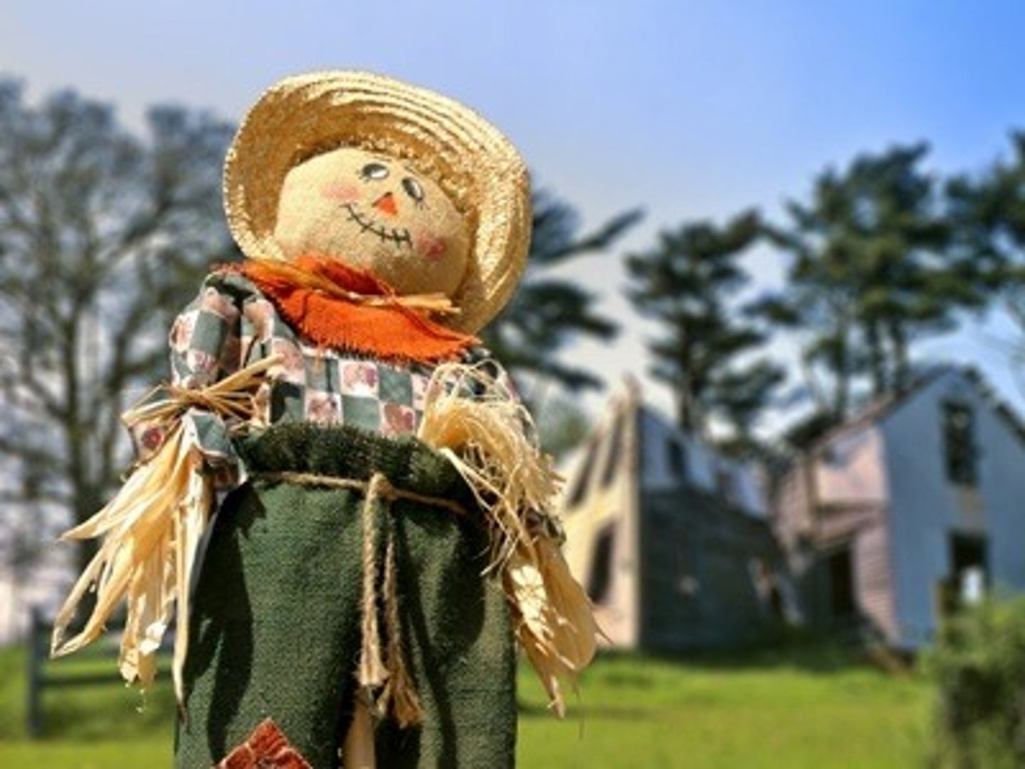 <p>scarecrow</p>