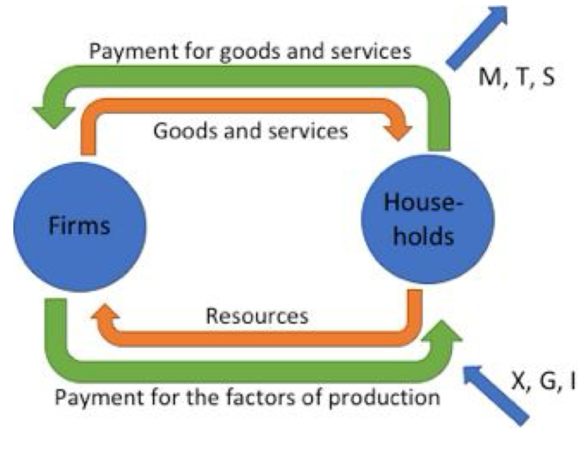 <ul><li><p>two-sector economy: w/ just <mark data-color="red">households and sellers</mark></p></li></ul><p></p><ul><li><p>﻿﻿<mark data-color="red">households</mark>- own all wealth and resources so provide the firms with land, labour and capital in return for rent, wages, interest and profits</p></li></ul><p></p><ul><li><p>﻿﻿use this money to buy <mark data-color="red">g and s produced by firms</mark></p></li></ul><p></p><ul><li><p>﻿﻿<mark data-color="red">money</mark> (represented by green arrows) flows in one direction and <mark data-color="red">goods, services and FOPs </mark>(orange arrows) flow in another</p></li></ul><p></p><ul><li><p>﻿﻿three ways of measuring the level of economic activity:</p><ul><li><p><mark data-color="red">national output</mark>- value of the flow of g and s from firms to households</p></li><li><p><mark data-color="red">national expenditure</mark>- value of spending by households on g and s</p></li><li><p><mark data-color="red">national income</mark>- of income paid by firms to households in return for FOPs</p></li></ul></li></ul><p></p><ul><li><p>﻿﻿In this simple model</p><ul><li><p><mark data-color="red">national output=national expenditure=national income</mark></p></li></ul></li></ul>