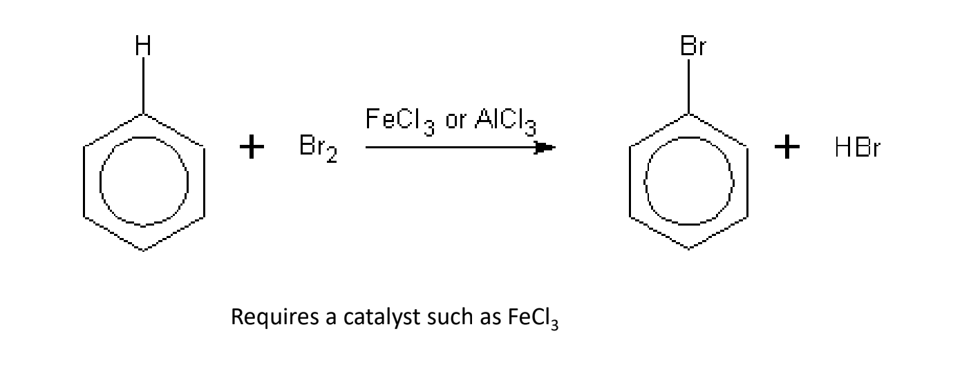 Halogenation requires a catalyst such as FeCl3