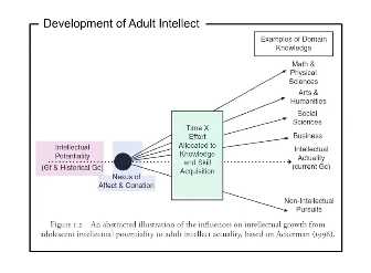 Development of adult intellect