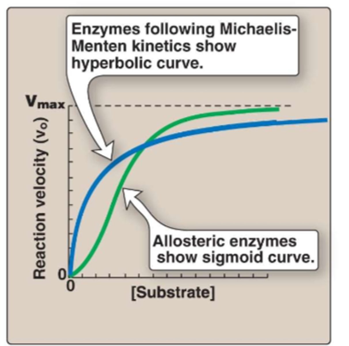 <p>sigmoid</p>