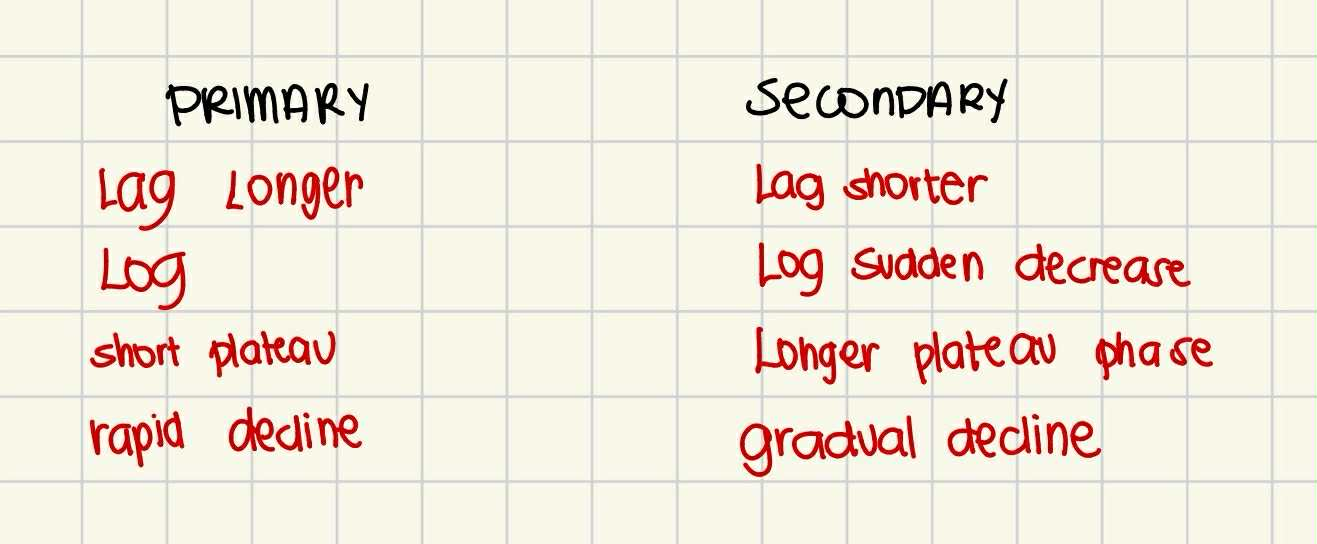 <ul><li><p>Lag = shorter</p></li><li><p>Log = sudden decrease</p></li><li><p>Plateau = longer</p></li><li><p>Gradual decline</p></li></ul><p></p>