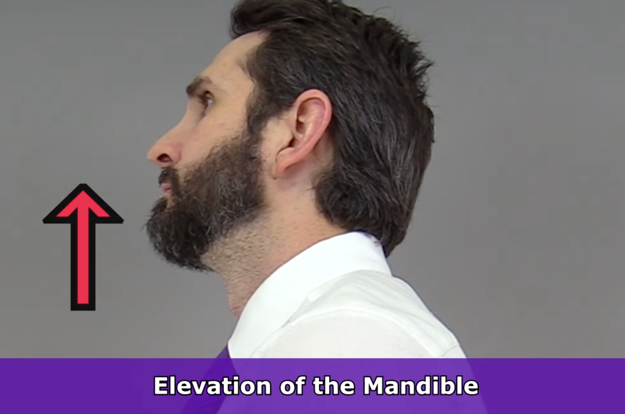 <p>mouth from open to close </p>