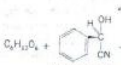 <p>Hydrolysis of Mandelonitrile glucoside yields this</p>