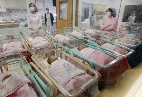 <p>number of babies born in a place in a year</p>