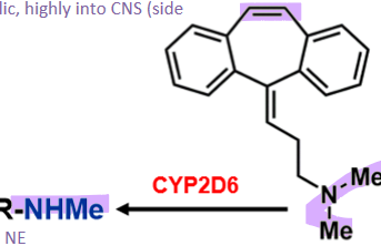 <ul><li><p>dibenzocycloheptene derivative </p></li><li><p>tert-butyl can bind to SE/NE </p><ul><li><p>conversion by 2D6 NMe → selective binding to NE, less lipophilic and less side effects </p></li></ul></li><li><p>very lipophilic, highly into CNS </p><ul><li><p>lots of side effects </p></li></ul></li></ul><p></p>