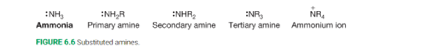 <p>Amines are derivative of ammonia, NH3</p><p>Successive replacement of a hydrogen on ammonia leads to primary, secondary, and tertiaryamines(NH2R, NHR2, NR3)</p>