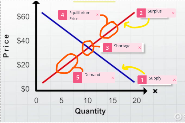 <p>What is number 1?</p>