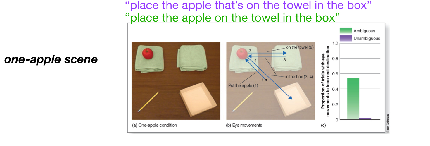 <p>View were seen and follow instructions</p>