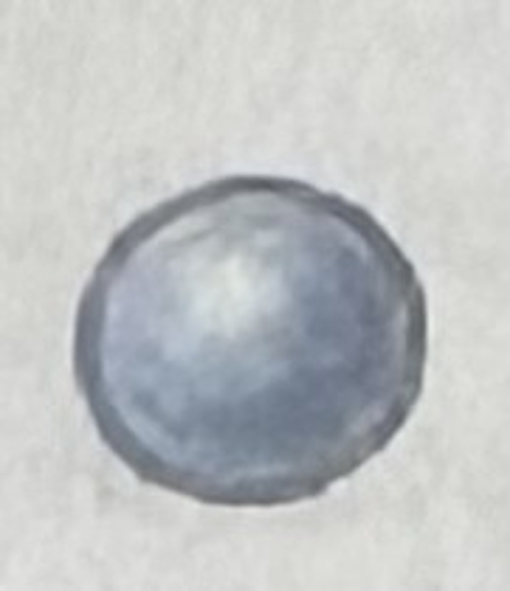 <p>Which bacterial group is this?</p>