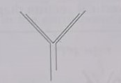 <p><strong>filter paper</strong></p><p>(the v inside the filter funnel in diagram)</p>