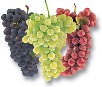 grape