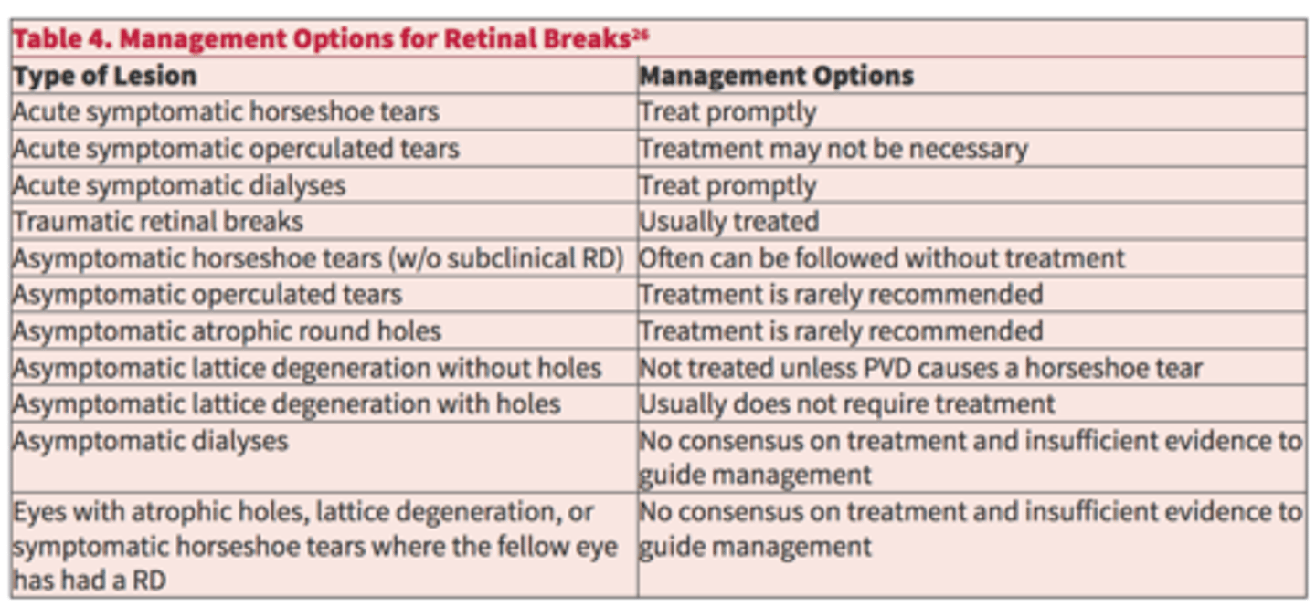 <p>According to the AAO, what holes/tears should be referred for possible laser tx?</p>
