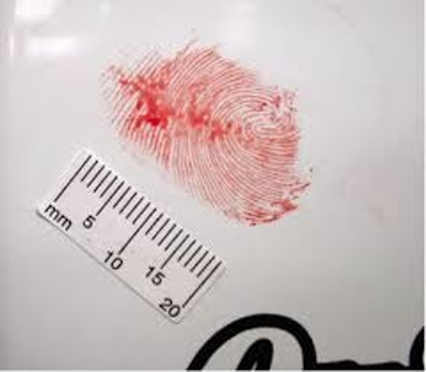 <p>the print formed when a fingertip is coated in blood, grease, or some other substance; it is visible to the naked eye</p>