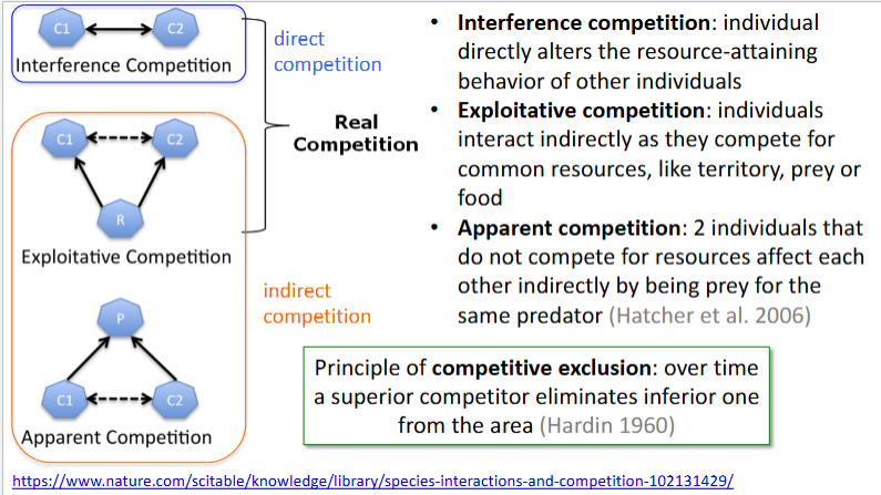 <p><span style="color: #000000"><strong>Intraspecific Competition </strong></span><span style="color: #000000">- </span><span style="color: #000000">Competition between individuals of a single species, related to population density</span><span style="color: #000000"><br></span><span style="color: #000000">• Competition for mates</span><span style="color: #000000"><br></span><span style="color: #000000">• Competing for food and other resources</span><span style="color: #000000"><br></span><span style="color: #000000">• Competing for space or defending a territory</span></p><p><span style="color: #000000"><strong>Interspecific Competition </strong></span><span style="color: #000000">- </span><span style="color: #000000">Competition between individuals of different species</span><span style="color: #000000"><br></span><span style="color: #000000">• Competing for resources like food or light (both, if you’re a plant or coral!)</span><span style="color: #000000"><br></span><span style="color: #000000">• Competing for space (e.g. anemone colonies on a rock, heads of coral, territorial animals, etc.)</span></p>