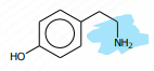 <p>[Alkaloids Compounds] What monocyclic compound is this</p>