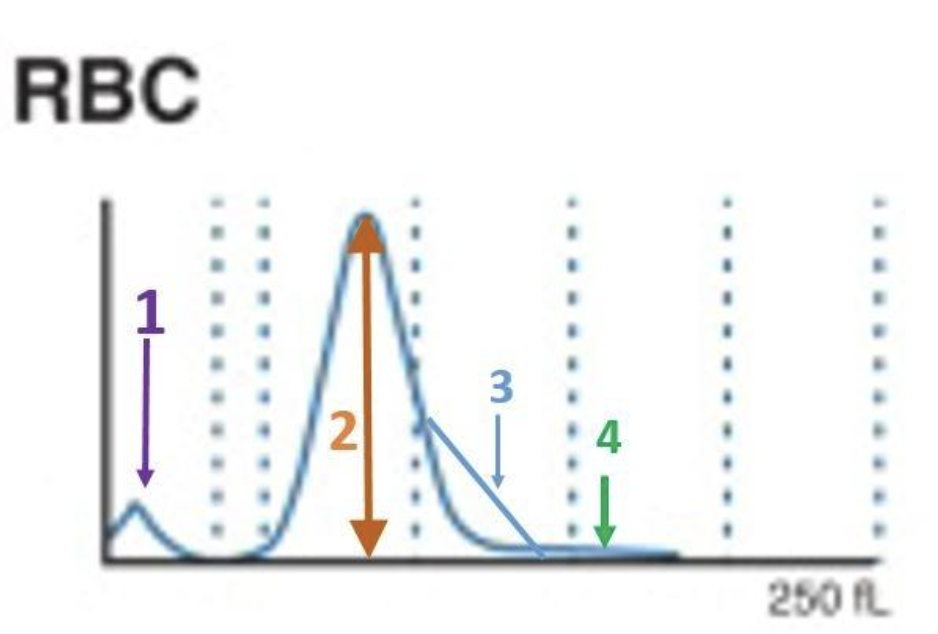 <p>where are doublets or WBCs?</p>