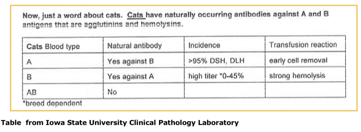 <p>Blood types = A, B, AB</p><p>Natural antibodies:</p><ul><li><p>To A antigen - causes strong hemolysis </p></li><li><p>To B antigen - causes early cell removal </p></li></ul><p></p>