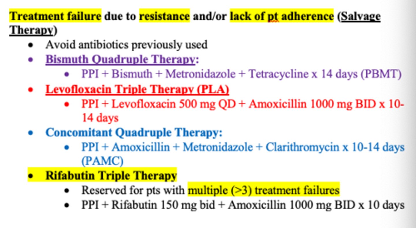 <p>PPI BID</p><p>amox 1000mg BID or TID</p><p>rifabutin 50-300mg QID</p><p>orrrrrrrr</p><p>combo Talicia 4 caps TID</p>