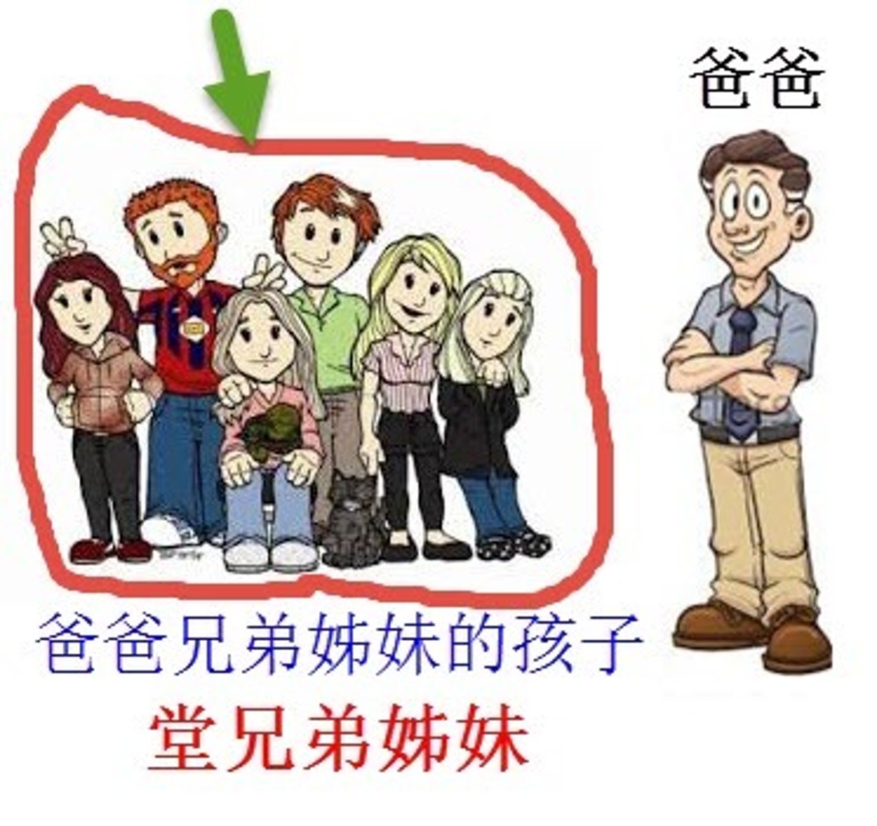 <p>（táng gē） older male cousin (father's side)</p>