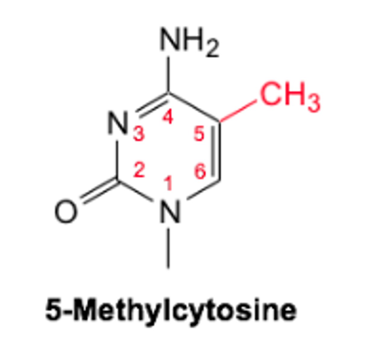 <p>- Occurs in mammals</p><p>- Carried out by DNA methyltransferase</p><p>- methylation of CpG sites regulates gene expression ( cytosine followed by guanine )</p>