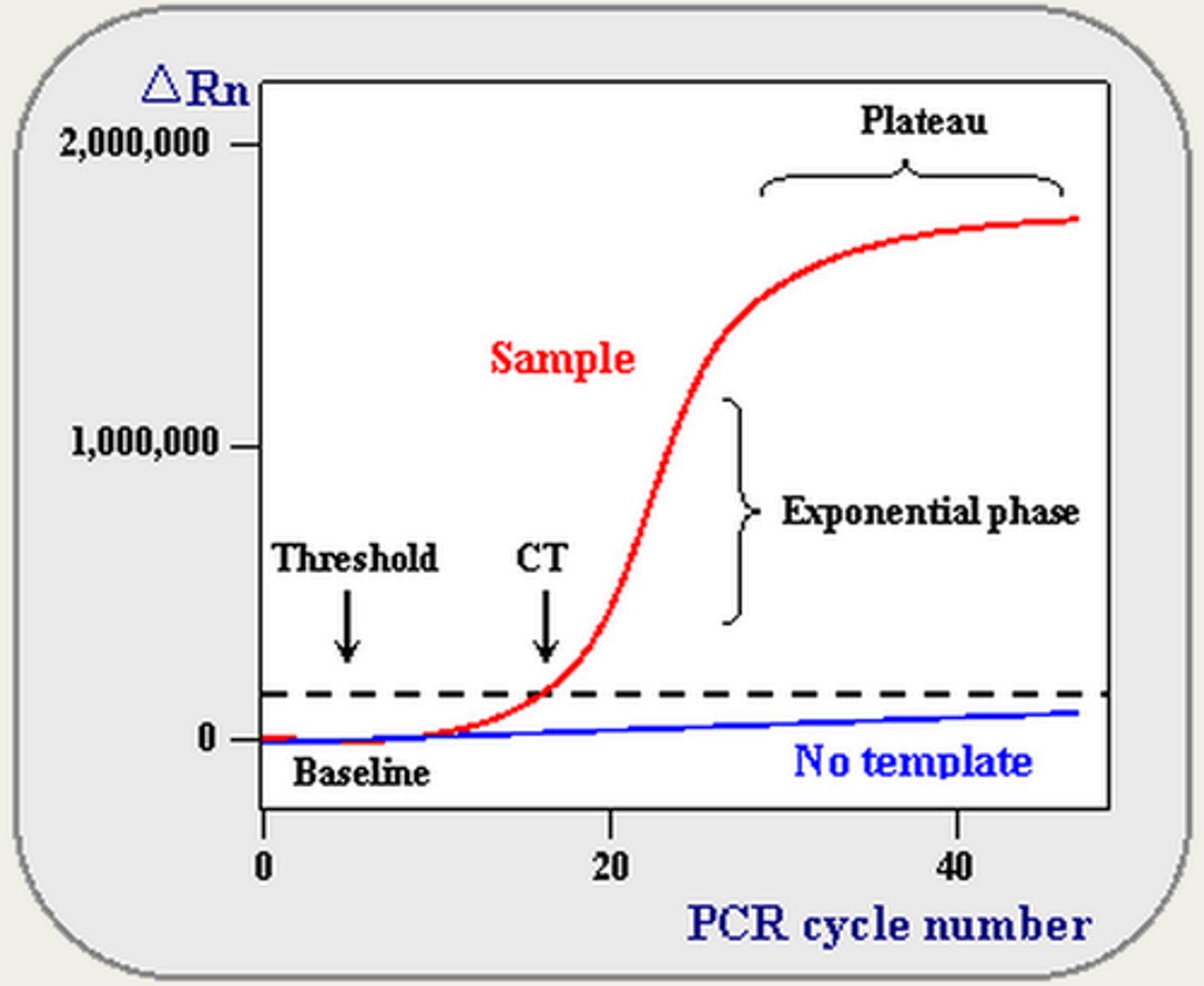 <p>Crossing threshold (Ct)<br><br>The more starting material the sooner the reaction will enter the logarithmic phase of amplification.<br><br>- Baseline is defined as PCR cycles in which a reporter fluorescent signal is accumulating but is beneath the limits of detection of the instrument.<br>- ΔRn is an increment of fluorescent signal at each time point. <br>- Threshold is an arbitrary level of fluorescence chosen on the basis of the baseline variability. <br>- A signal that is detected above the threshold is considered a real signal that can be used to define the threshold cycle (Ct) for a sample. Ct is defined as the fractional PCR cycle number at which the reporter fluorescence is greater than the threshold.</p>