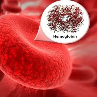 Hemoglobin