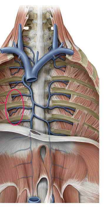 <p>? top to bottom&nbsp;</p>