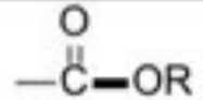 <p>Csp2—OR (<em>ESTER</em>) </p>