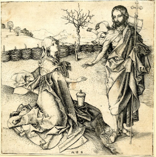 <p>What is the title?</p>